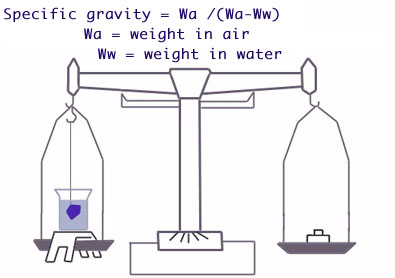 وزن مخصوص (Specific gravity)