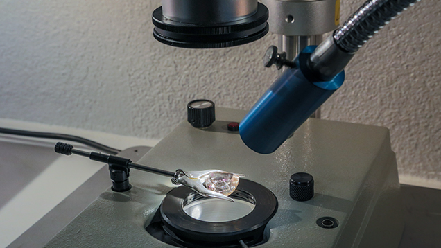 بررسی الماس با میکروسکوپ