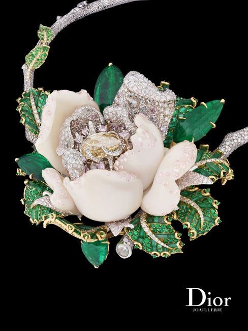 کالکشن رز دیور (Dior Rose)