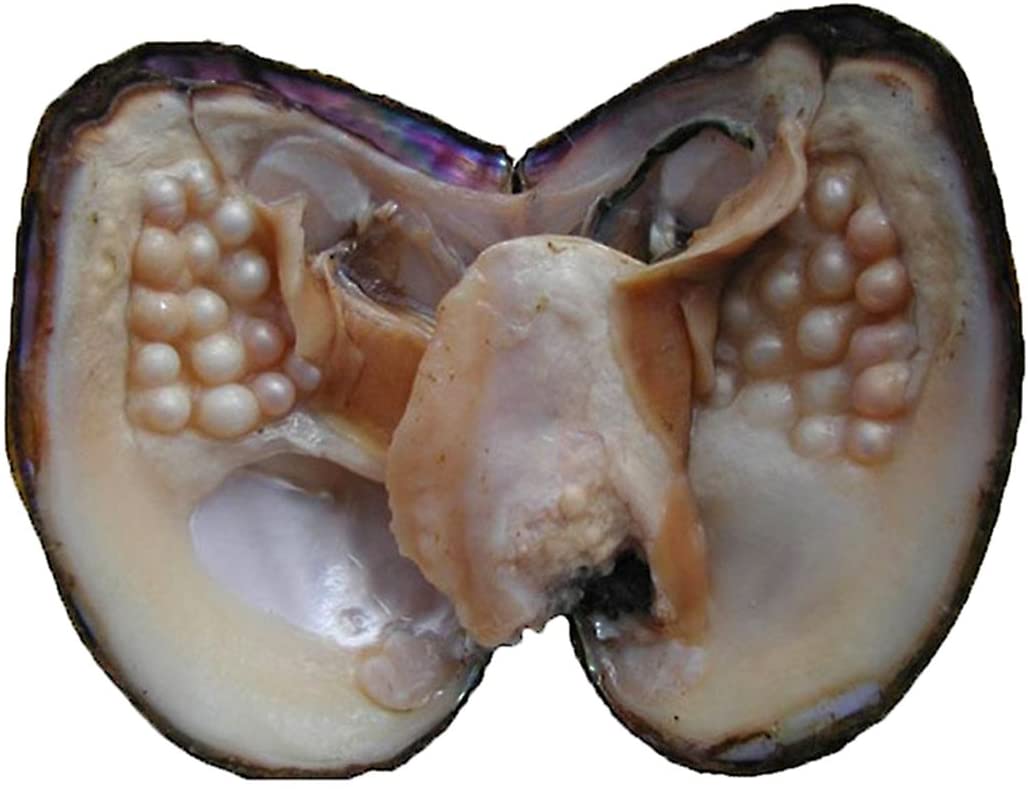 pearl pearl